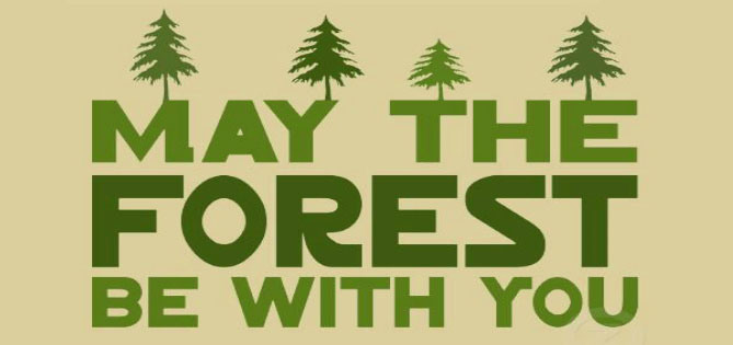 May-the-Forest-be-with-you